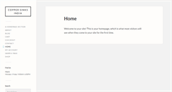 Desktop Screenshot of coppersinksindia.com